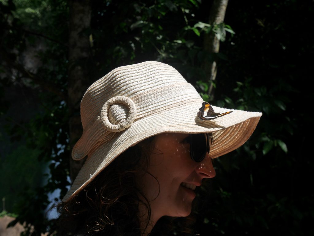 Ma nouvelle décoration