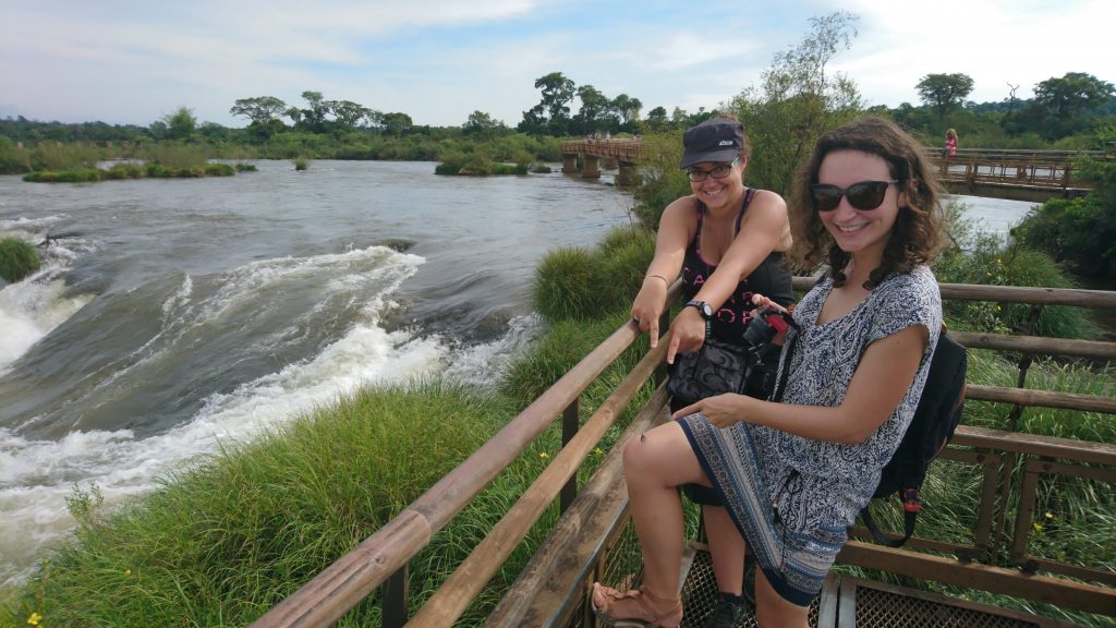 Y a un papillon, là