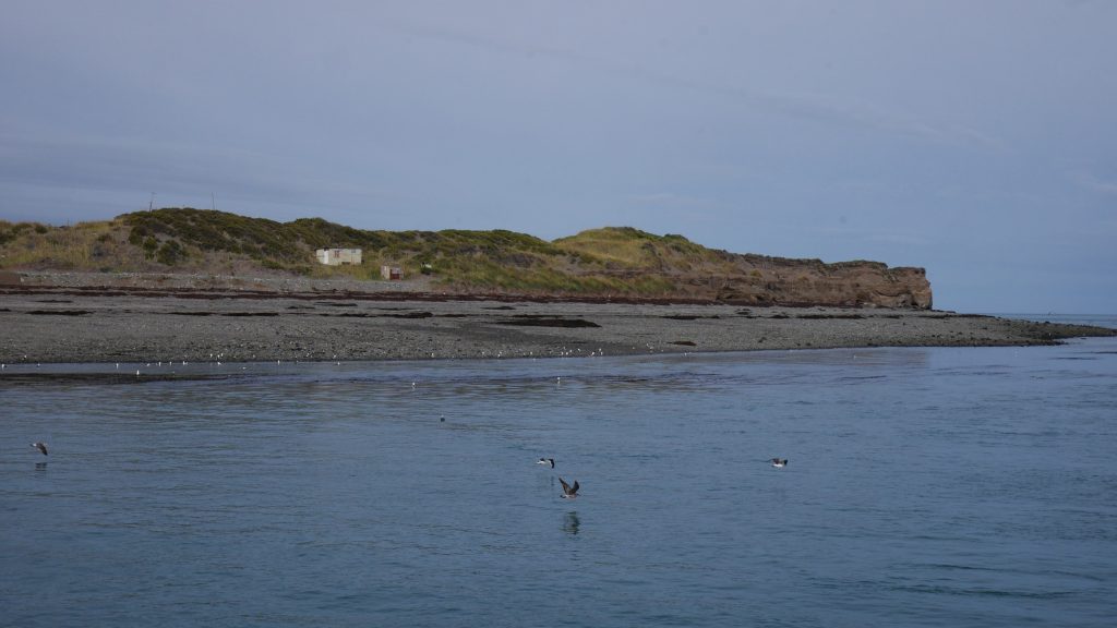 Terre de feu droit devant