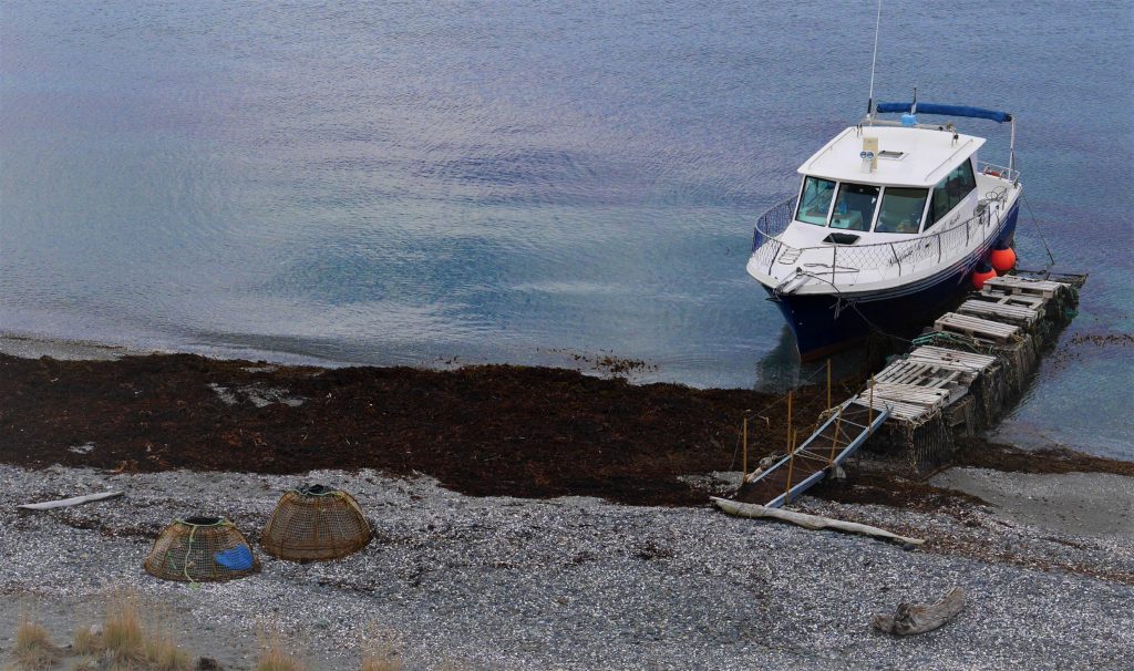 Notre petite embarcation