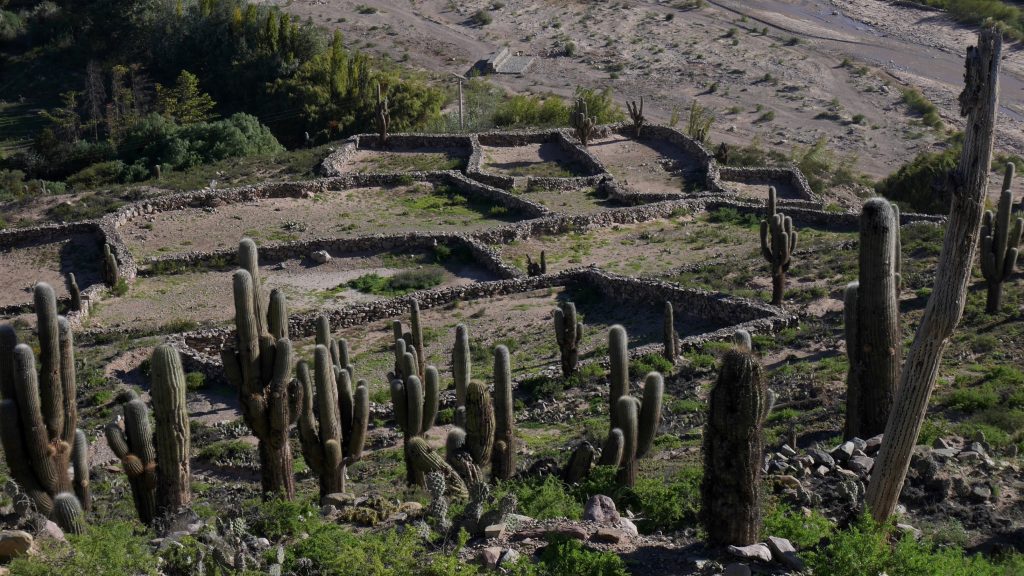 Les corrals vus de loin