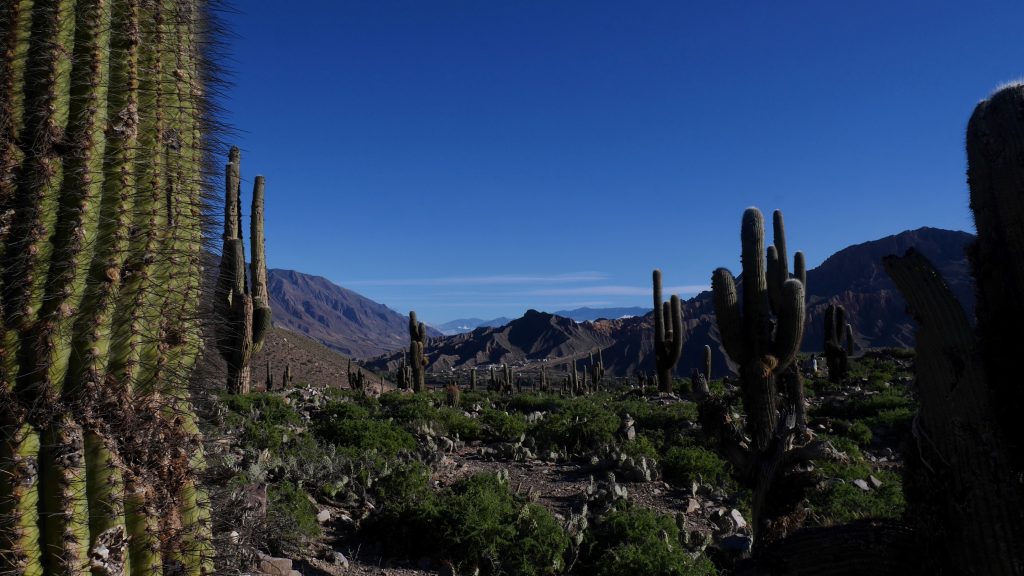 La vue depuis Pukara