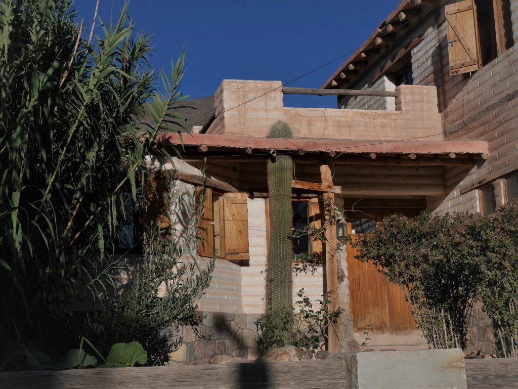 Maison avec cactus intégré au toit