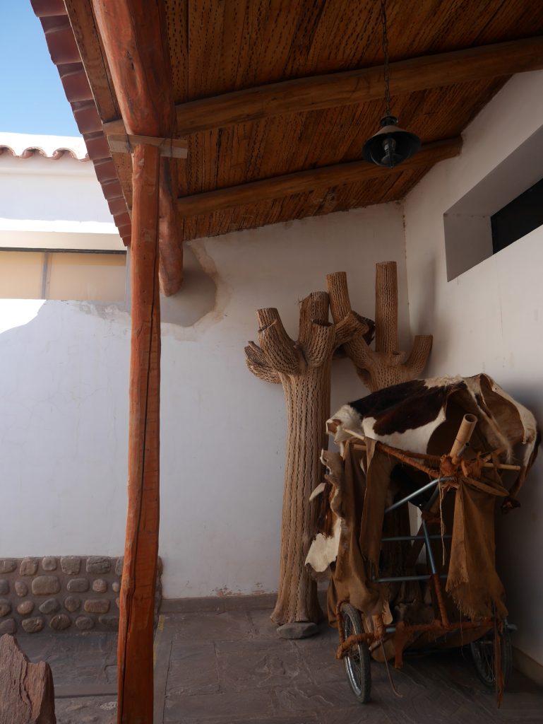 Dans le musée, toit en cactus, cactus et peaux de vaches