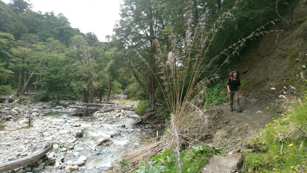 Irène le long de la rivière