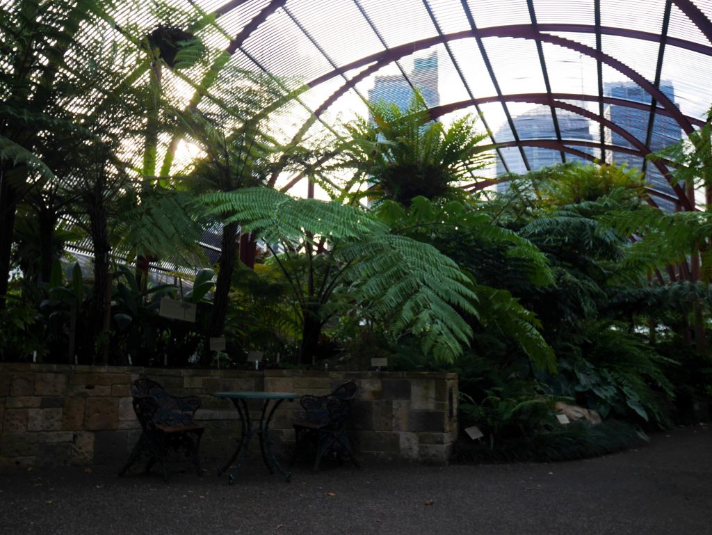 Les serres du jardin botanique