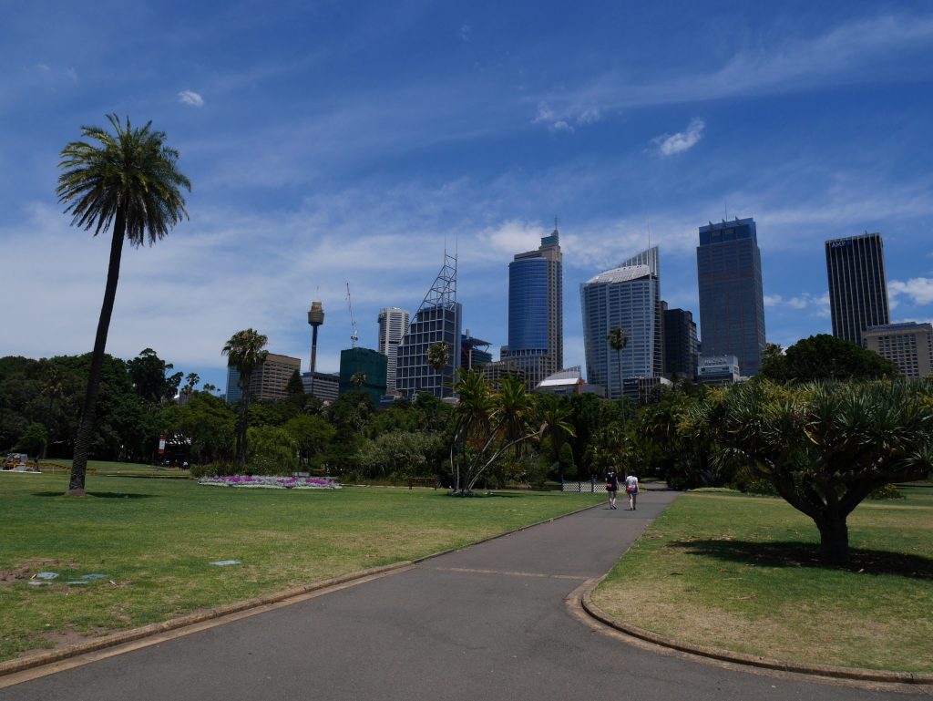 Le quartier d'affaire vu du Royal Botanic Garden