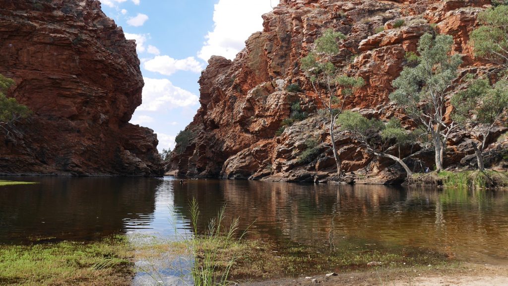 Ellary Creek Big Hole