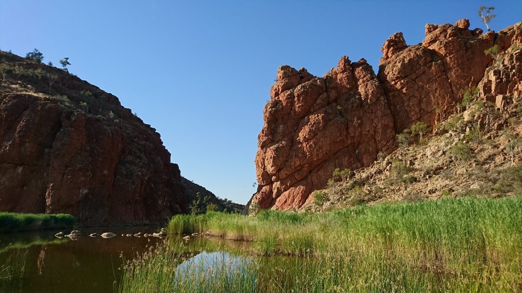 Glen Elen Gorge au petit matin