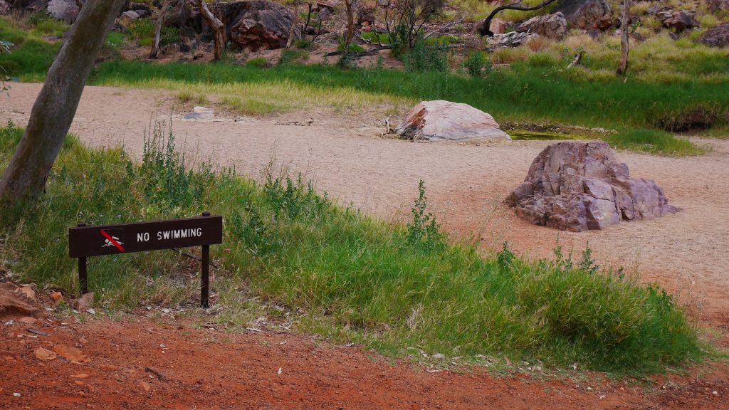 Simpsons Gap - Difficile de nager !