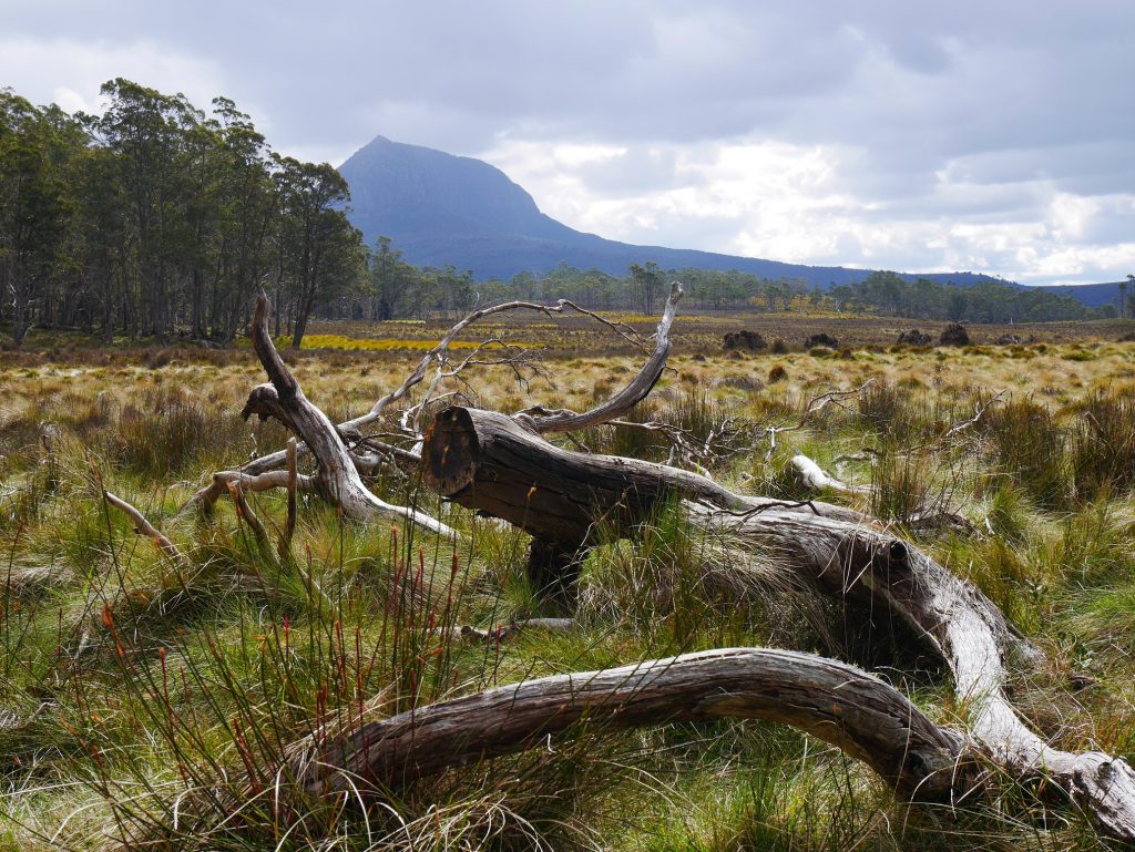 La vue depuis la hutte de New Pelion