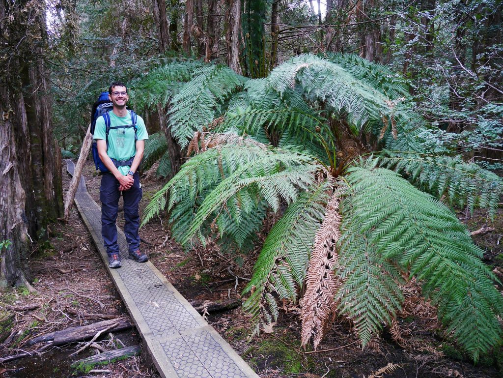 Thomas dans la Rainforest