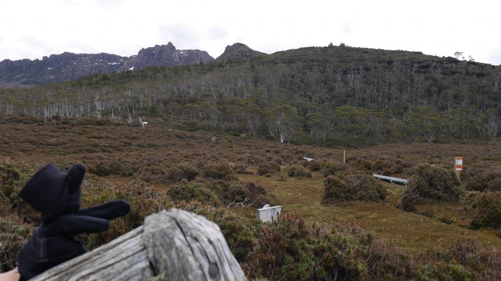 Dalf, faignant, n'a pas tenté l'ascension du mont Ossa