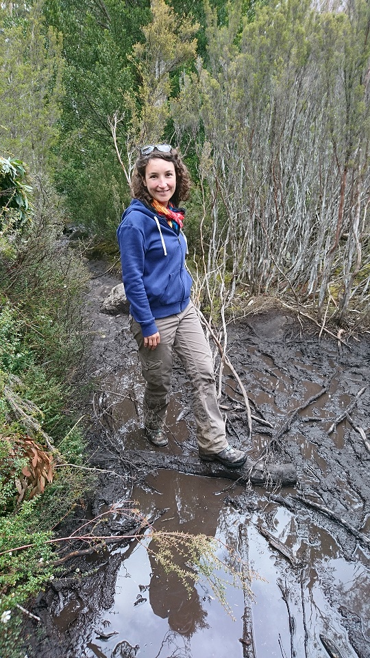 La gadoue, la gadoue, la gadoue...