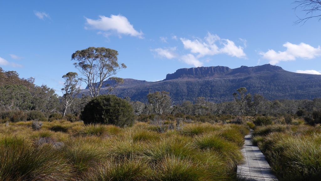 Route vers Narcissus
