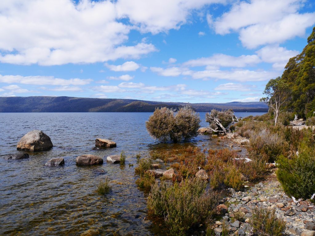 Arrivée à Cynthia Bay