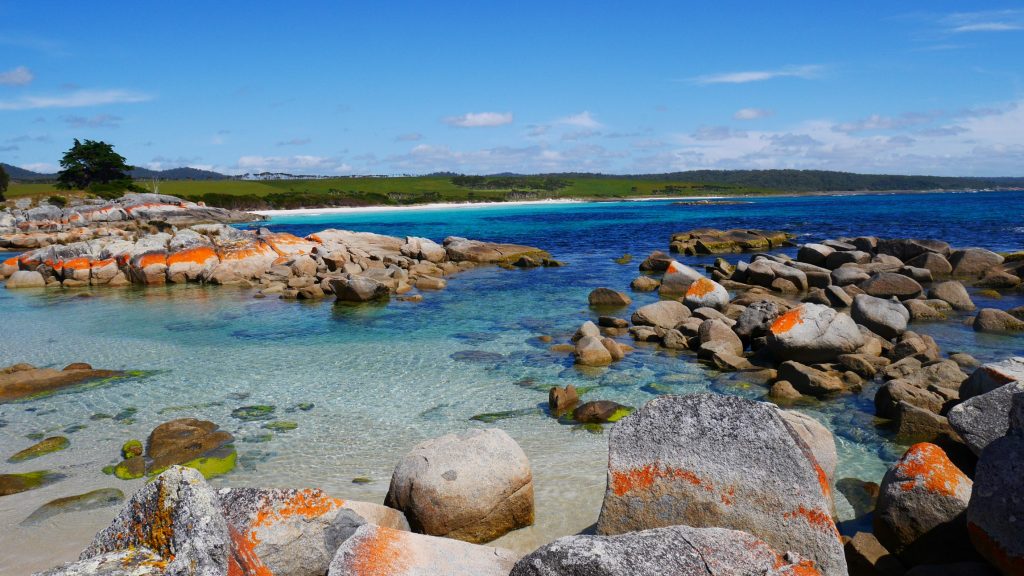 The Gardens - Bay of Fires