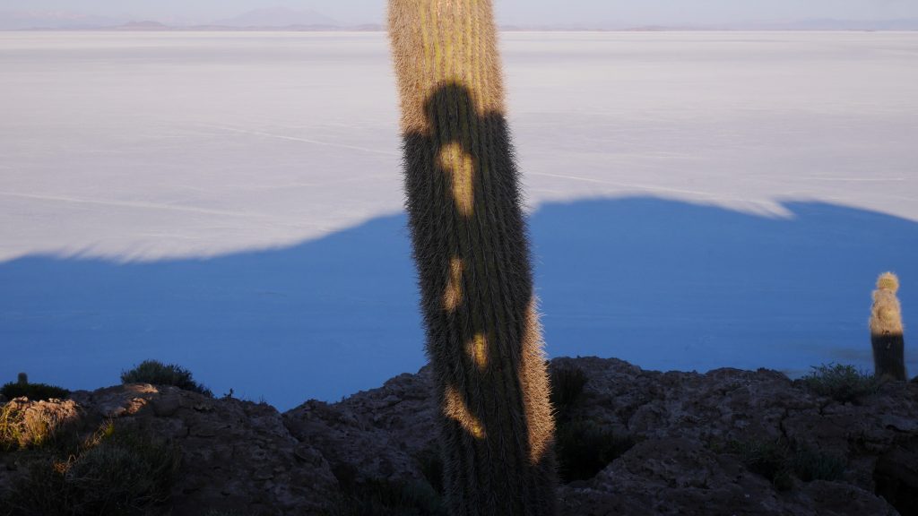 Un bisous qui ne manque pas de piquant