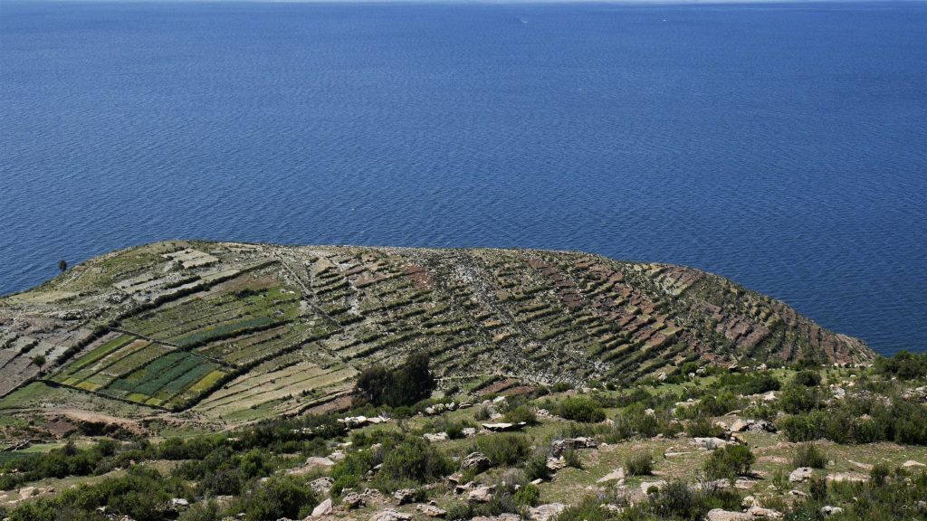 Cultures en terrasse