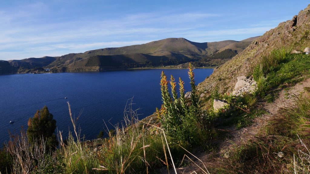 lumière du couchant sur les bords du lac