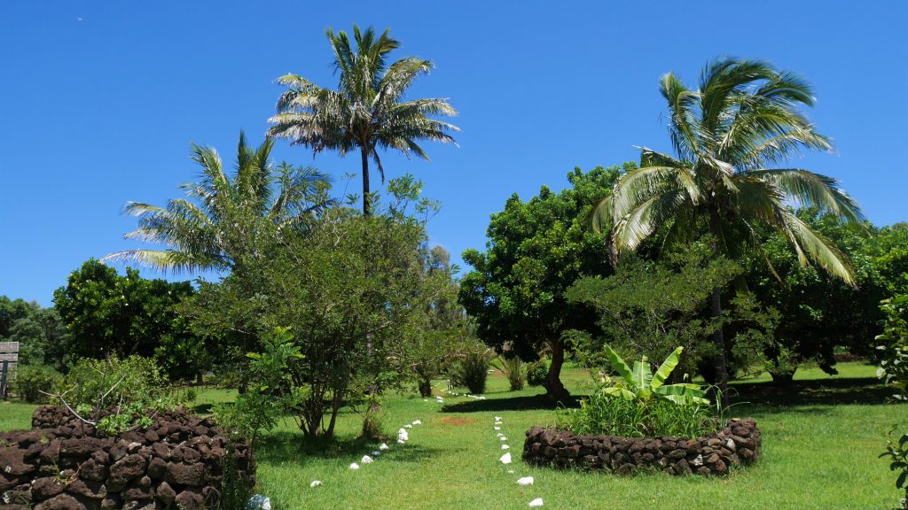 Le chemin bien aménagé à travers une propriété