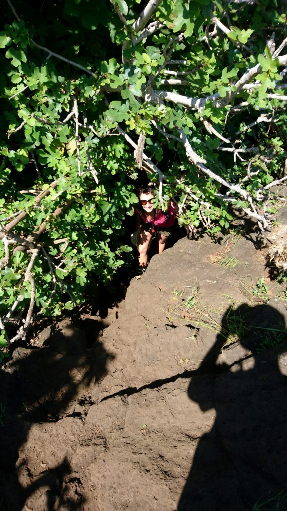 Sortie de la grotte, bien cachée