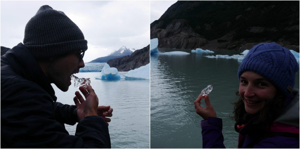 Dégustation d'iceberg