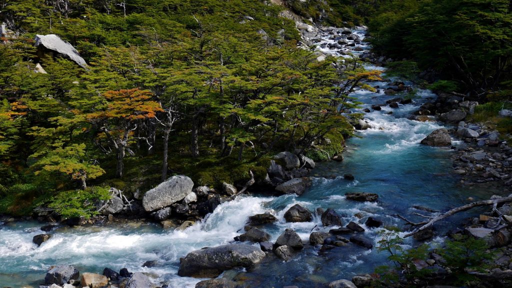 Torrent et couleurs d'automne