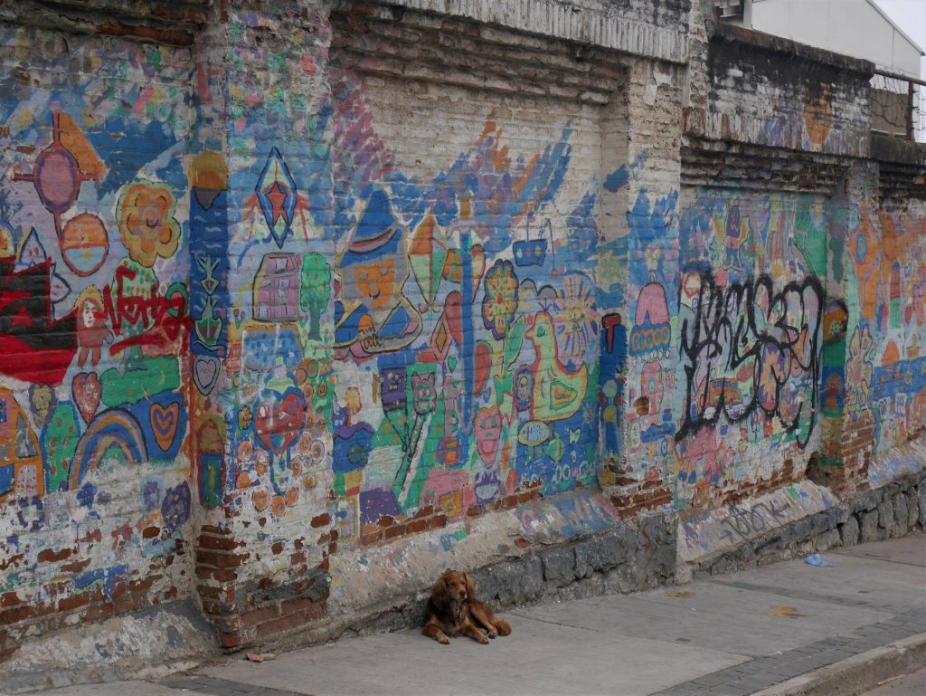 Une image classique dans la ville : les graffitis et les chiens