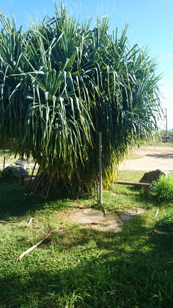 L'arrivée d'eau du camping
