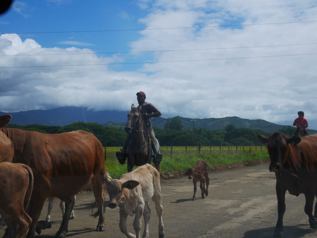 grande-terre-j5-stockman