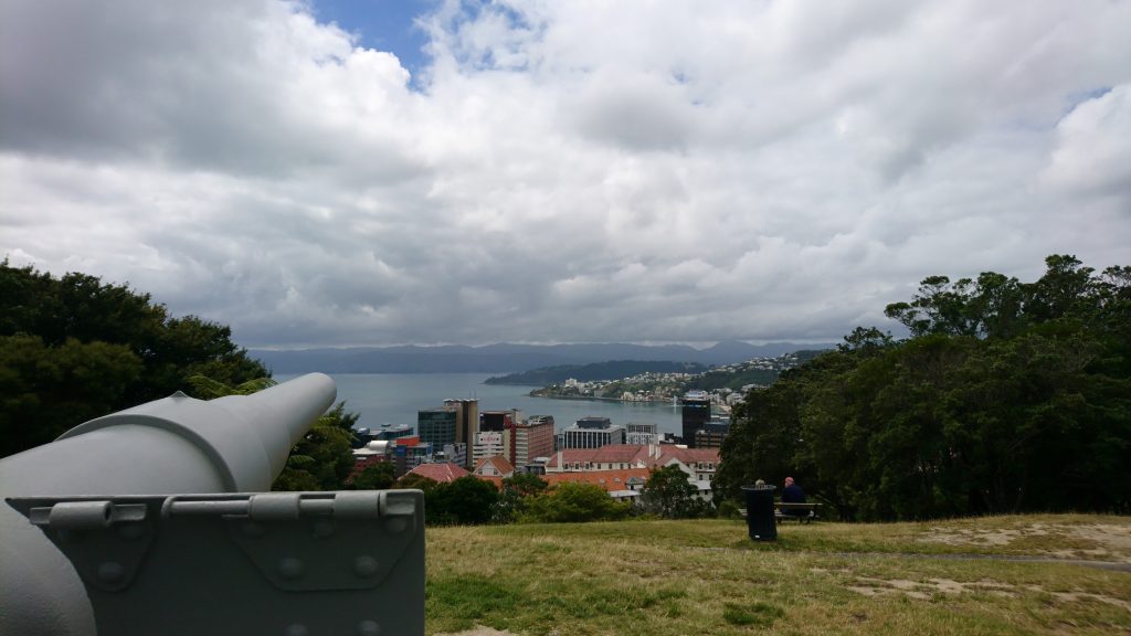 Vue sur la ville depuis le jardin botanique