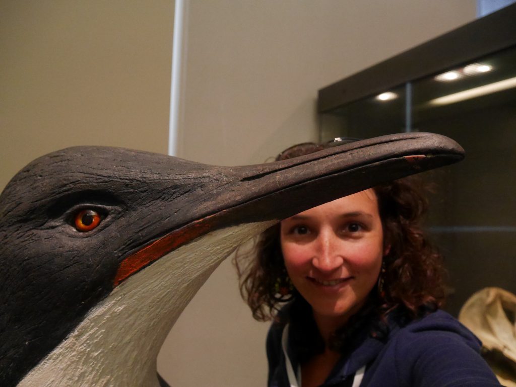 Selfie avec le plus grand des pingouins