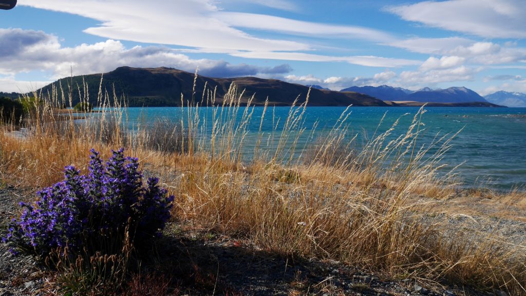 Toujours le lac Tekapo