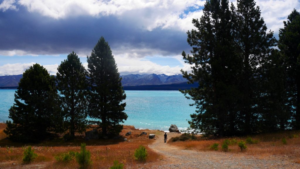 Le lac Pukaki au loin