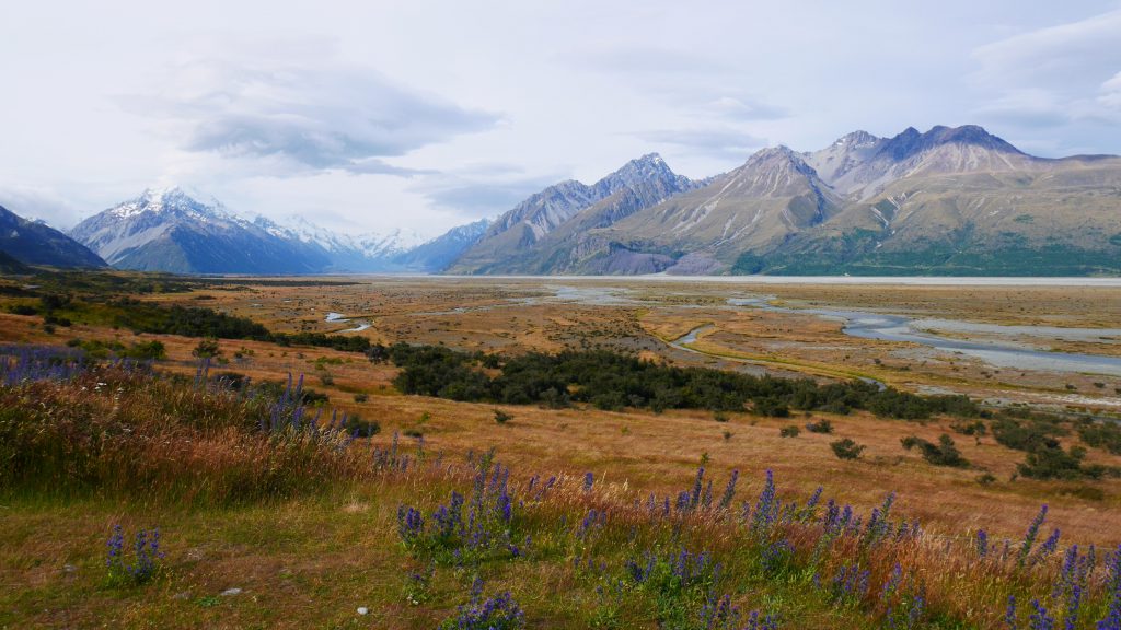 Le mont Cook au loin