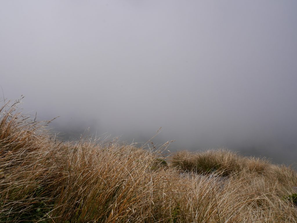 Une vue unique pour le pique-nique