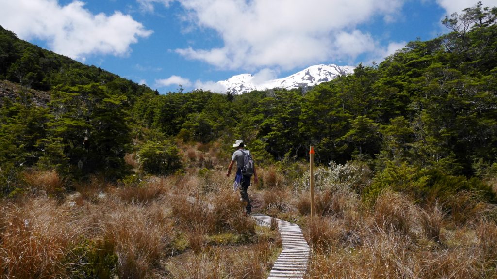 Thomas sur le boardwalk qui mène au lac 