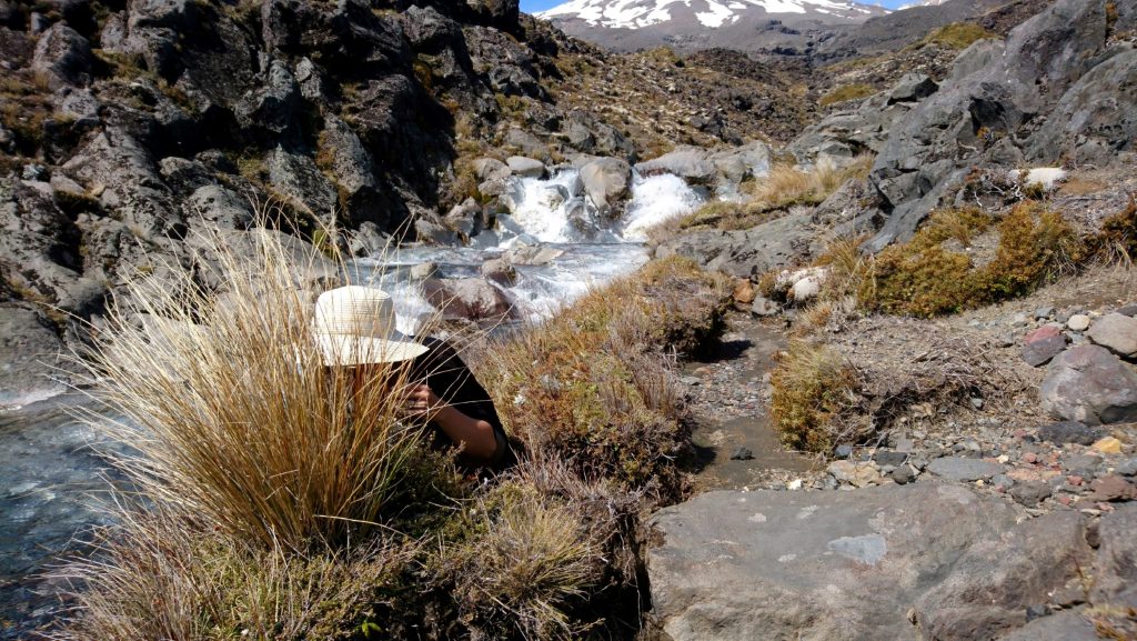 Cherchez la photographe !