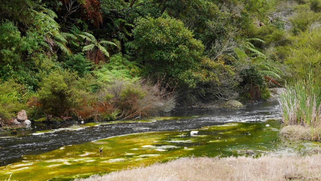 Toujours la rivière