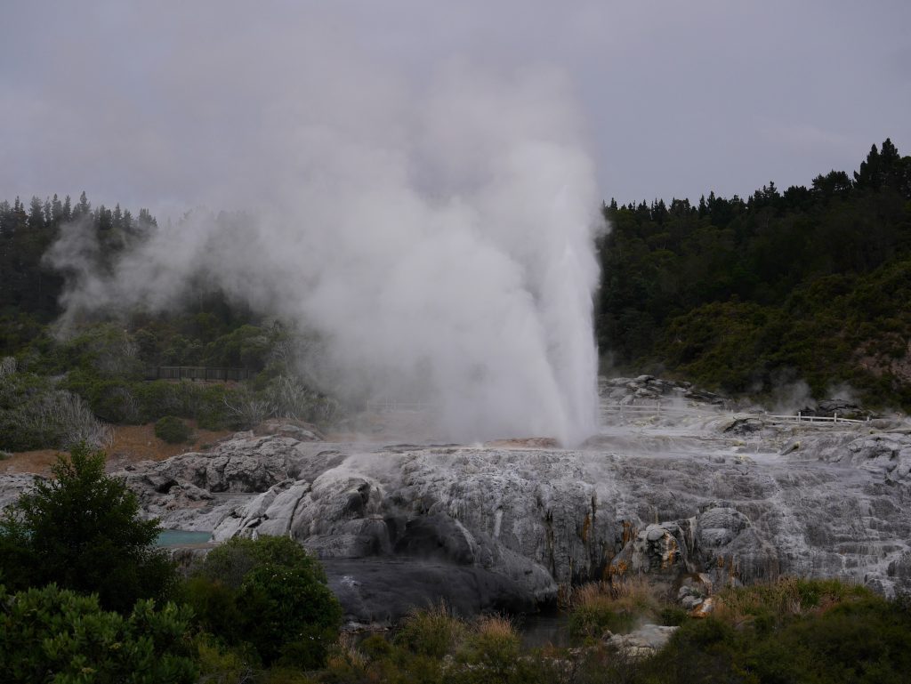 Les deux geyser de Te Puia