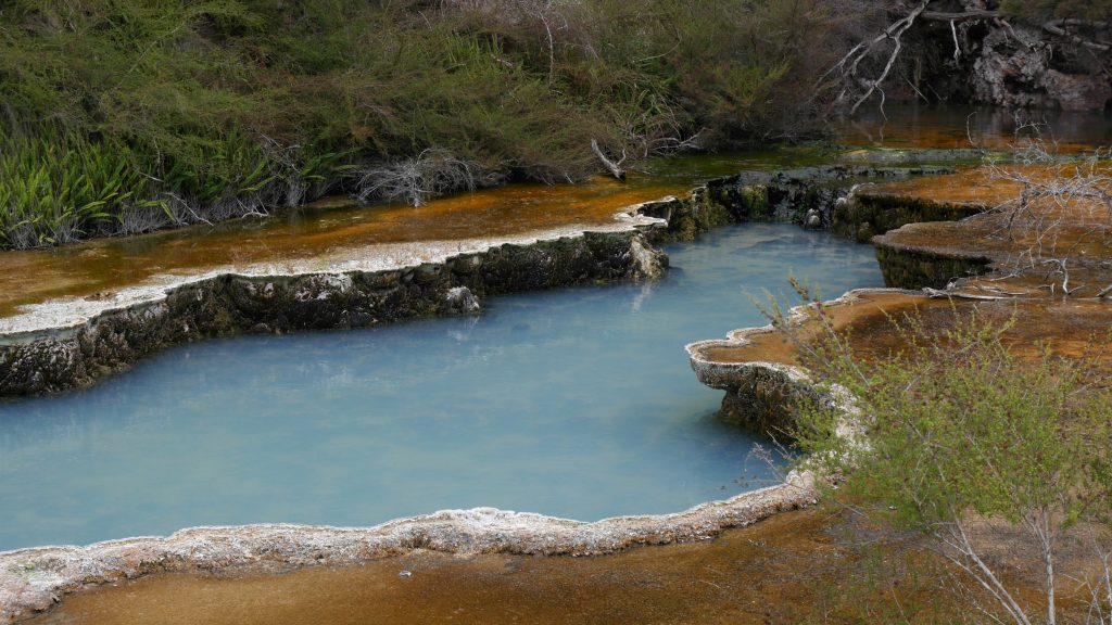 Près de Warbrick terrace