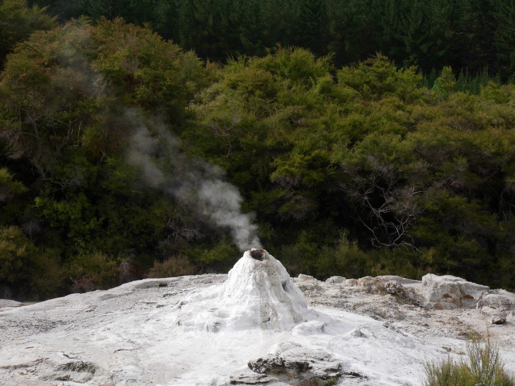 Lady Knox Geyser avant son réveil