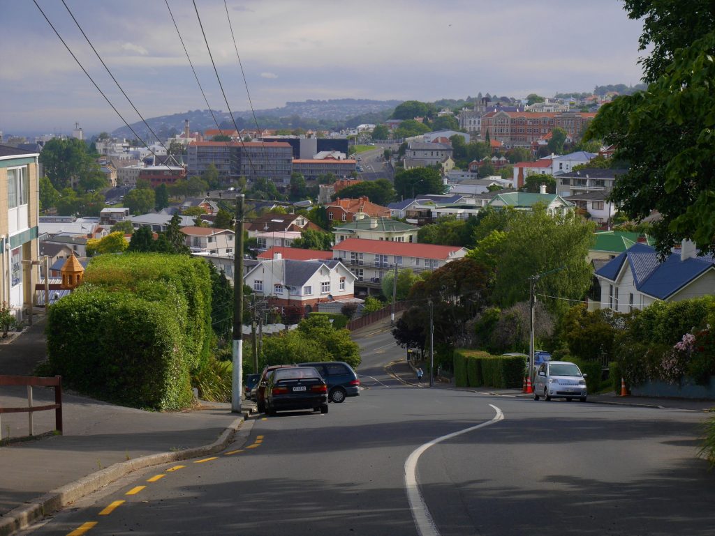 Vue sur Dunedin