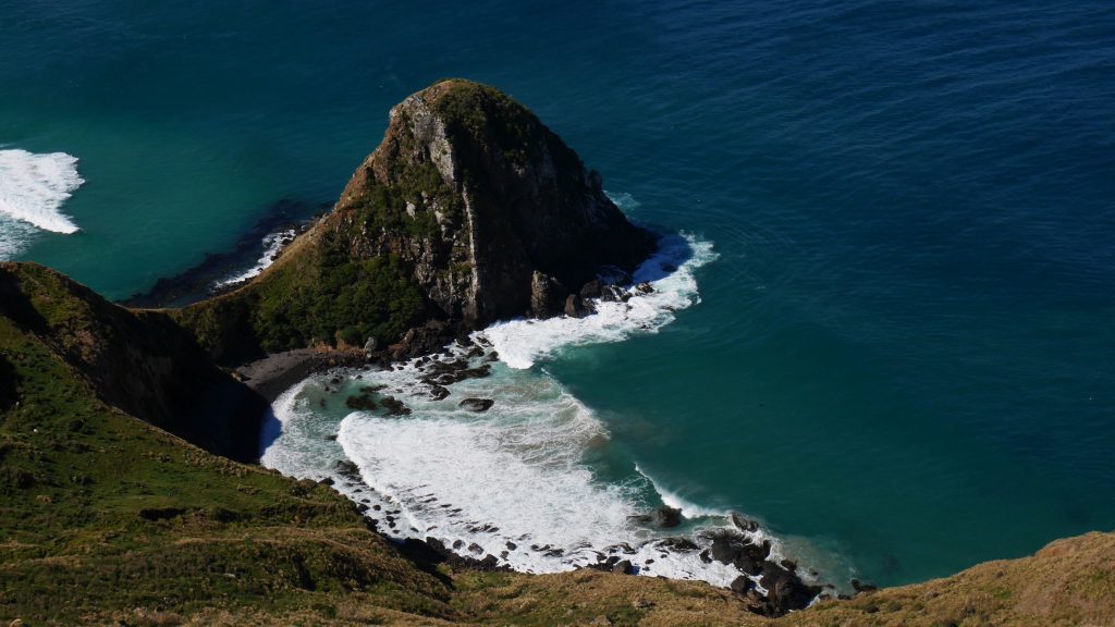 Détail (avec lions de mer dans l'eau)