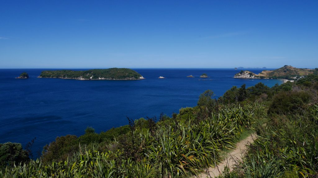 coromandel-j1-poitn-de-vue-2