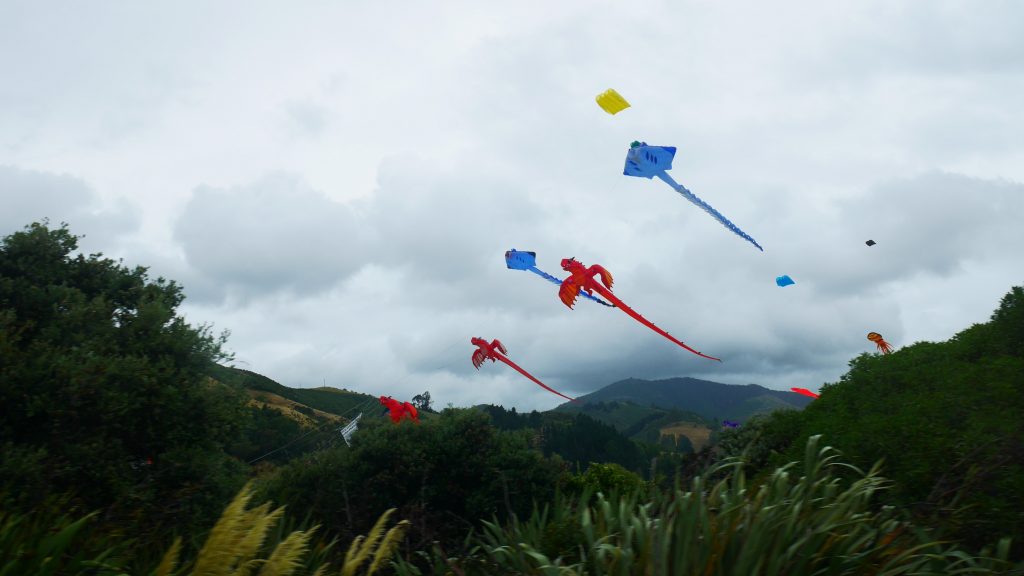 Des cerf-volants nous accueillent à Nelson