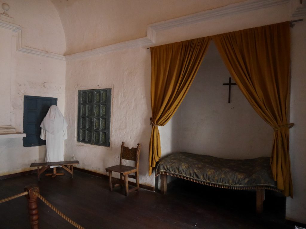 Reproduction d'une cellule de novice