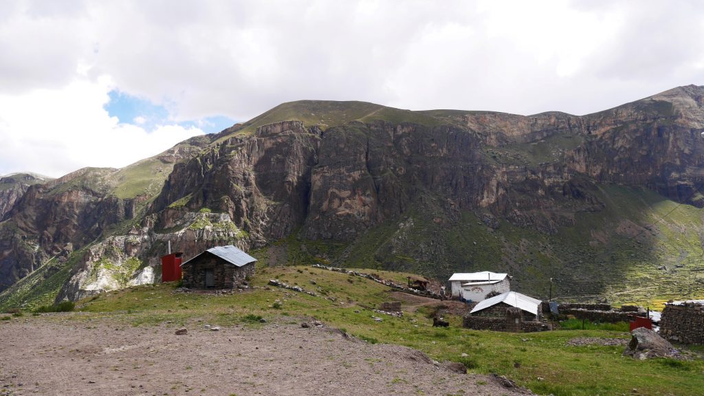 Une partie de Lauripampa