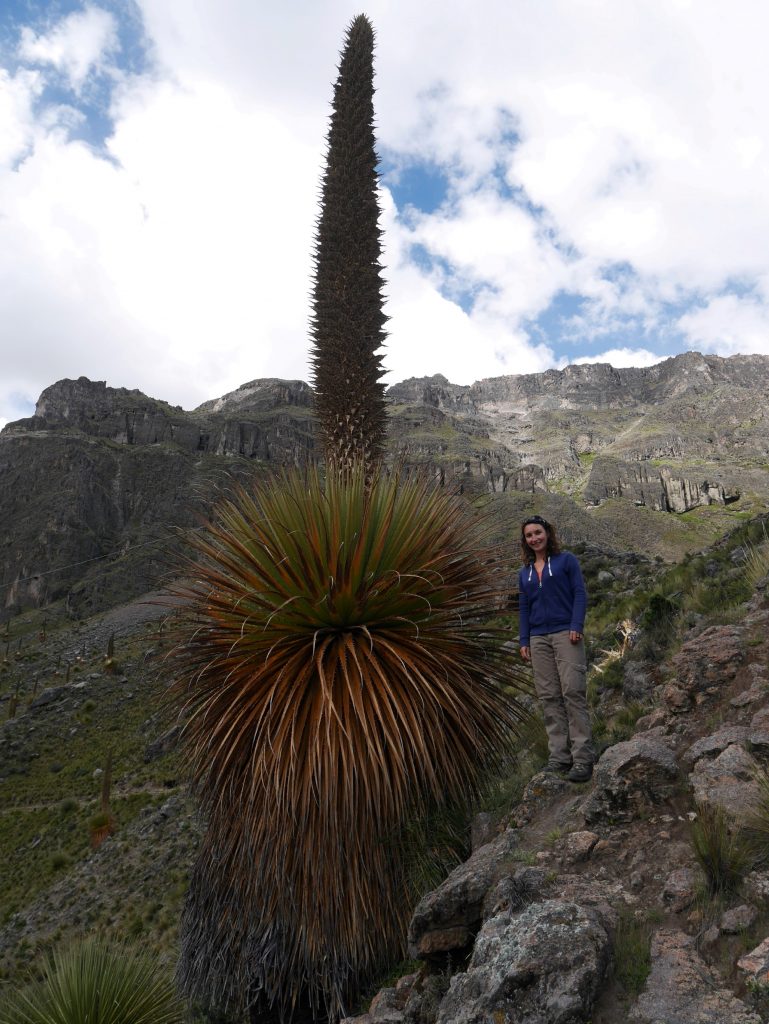 cotahuasi-j2-lauripampa-6